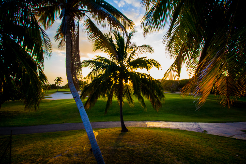 Golf Course in Cuba